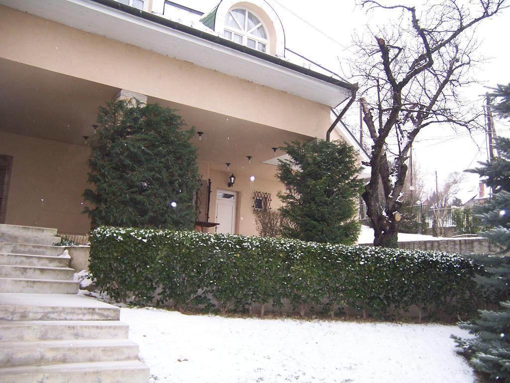 Leányfalu Villa Szekely מראה חיצוני תמונה